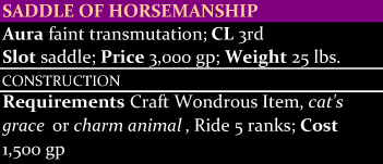Saddle of Horsemanship